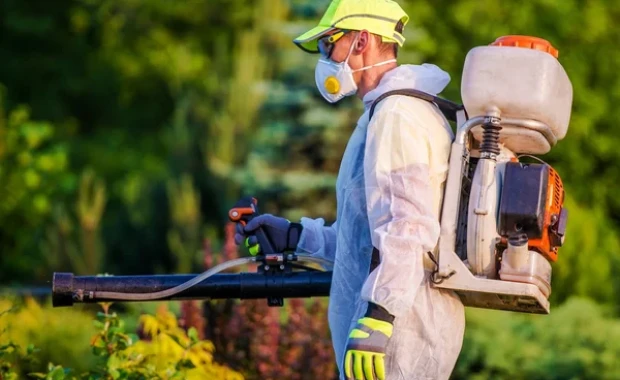 SEO for Pest Control Services in Plano