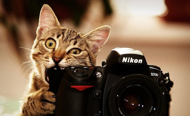 SEO for Photographers in Fort Lauderdale