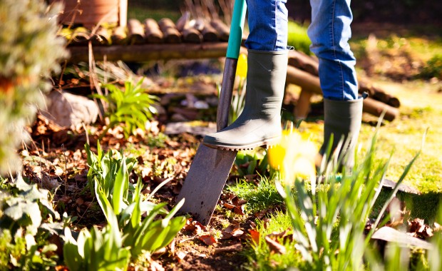 SEO for Landscaping Services in San Francisco