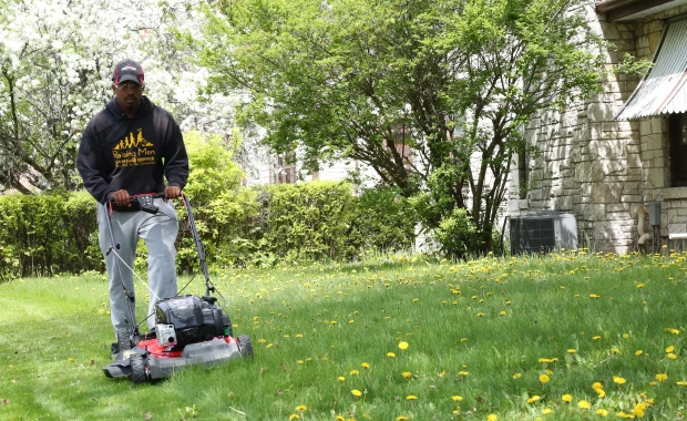 SEO For Lawn Care Services In New York