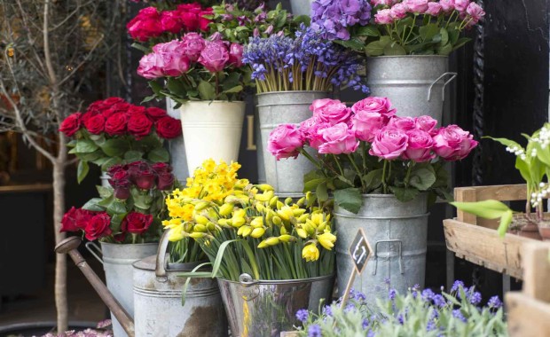 SEO For Flower Shops In St Louis