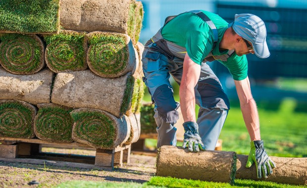 SEO For Landscaping Services In Chandler
