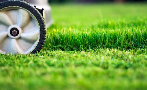 SEO For Lawn Care Services In Denver