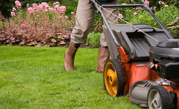 SEO for Lawn care services in Indianapolis