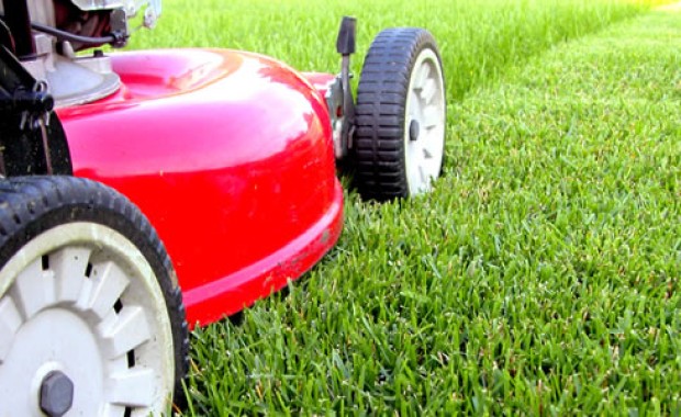 SEO for Lawn care services in Philadelphia