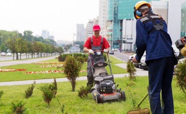 SEO For Lawn Care Services In St Louis