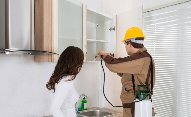 SEO For Pest Control Services In Chandler