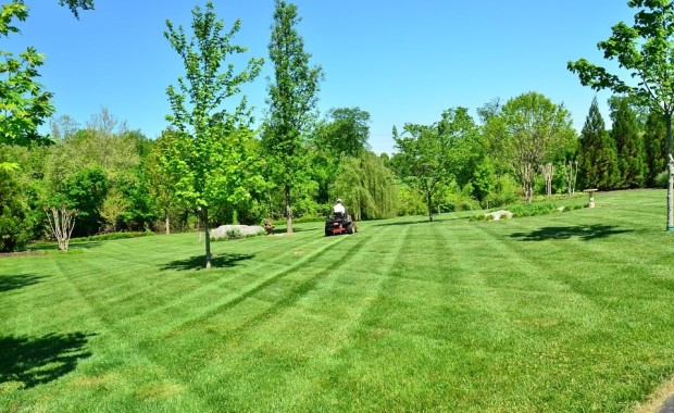 SEO for Lawn Care Services in Houston