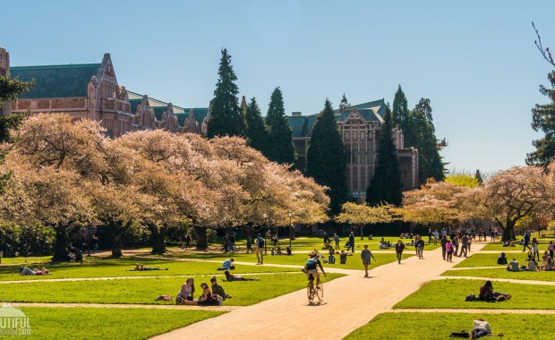 SEO for Universities in Washington