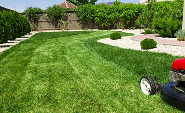 SEO For Lawn Care Services In Sacramento